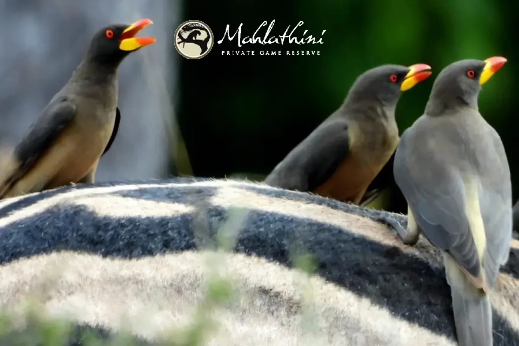 Manager’s Newsletter – November 2025 (Summary)