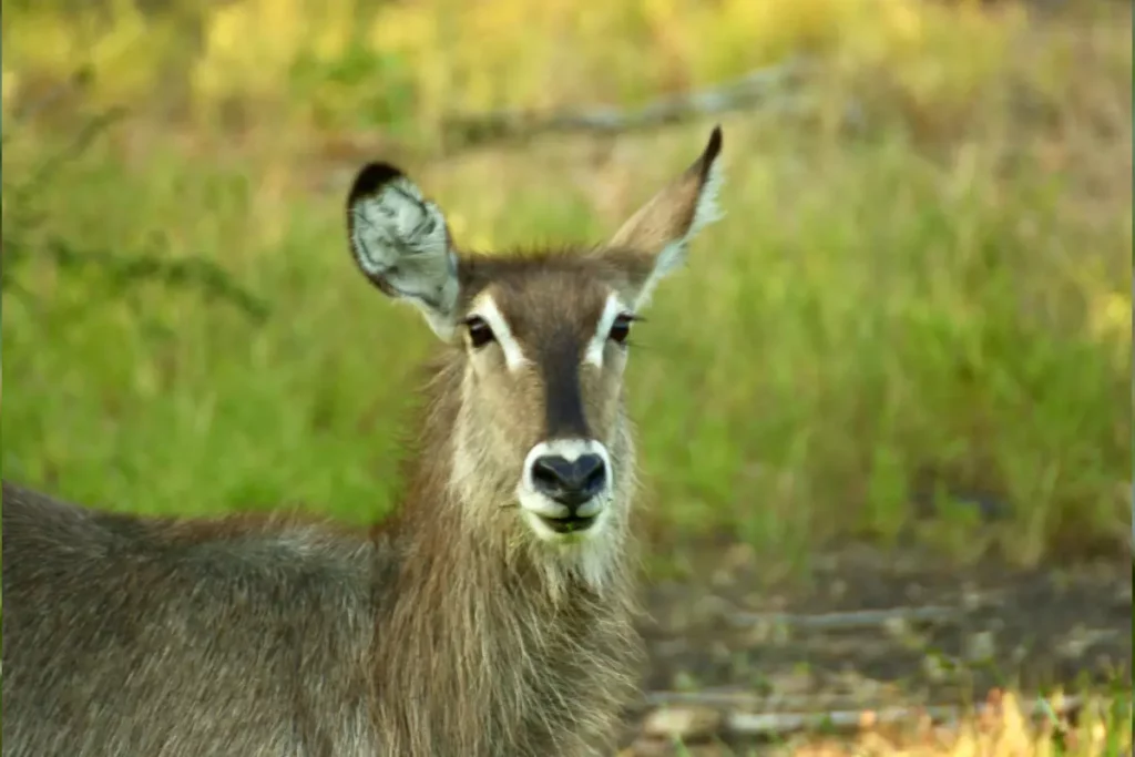 What It’s Really Like to Own Property in a Private Nature Reserve