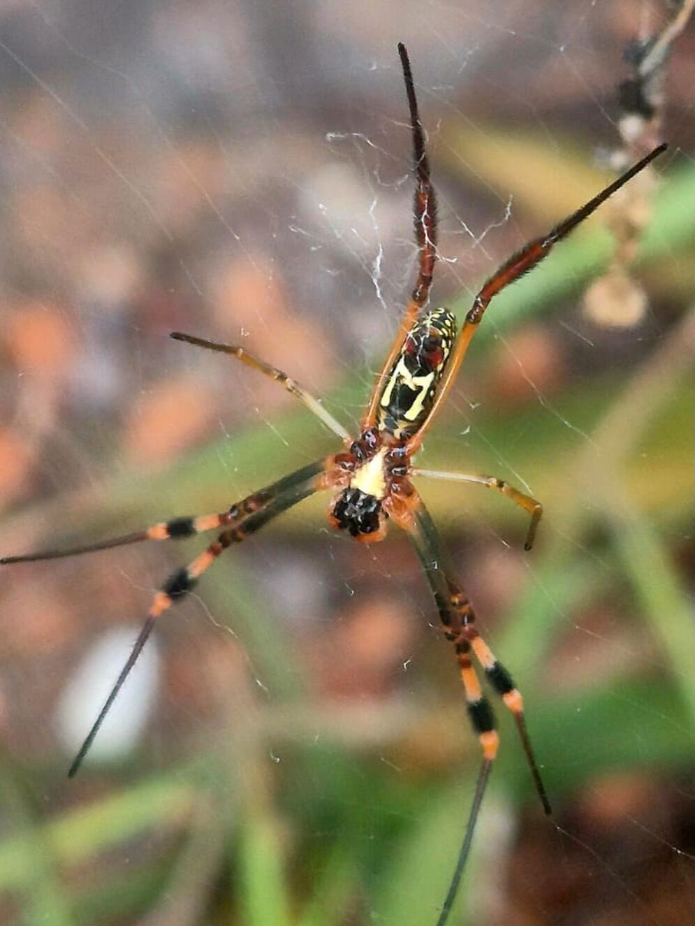 Instagram post from mahlathini_privat_game_reserve. This post is in position 6.