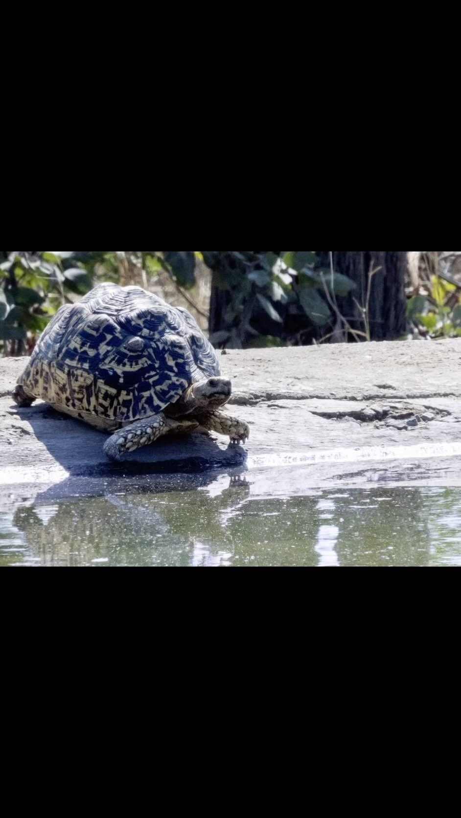 Instagram post from mahlathini_privat_game_reserve. This post is in position 27.