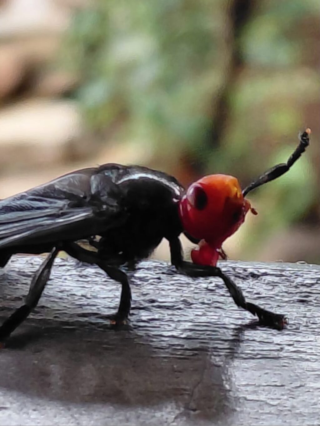 Instagram post from mahlathini_privat_game_reserve. This post is in position 4.