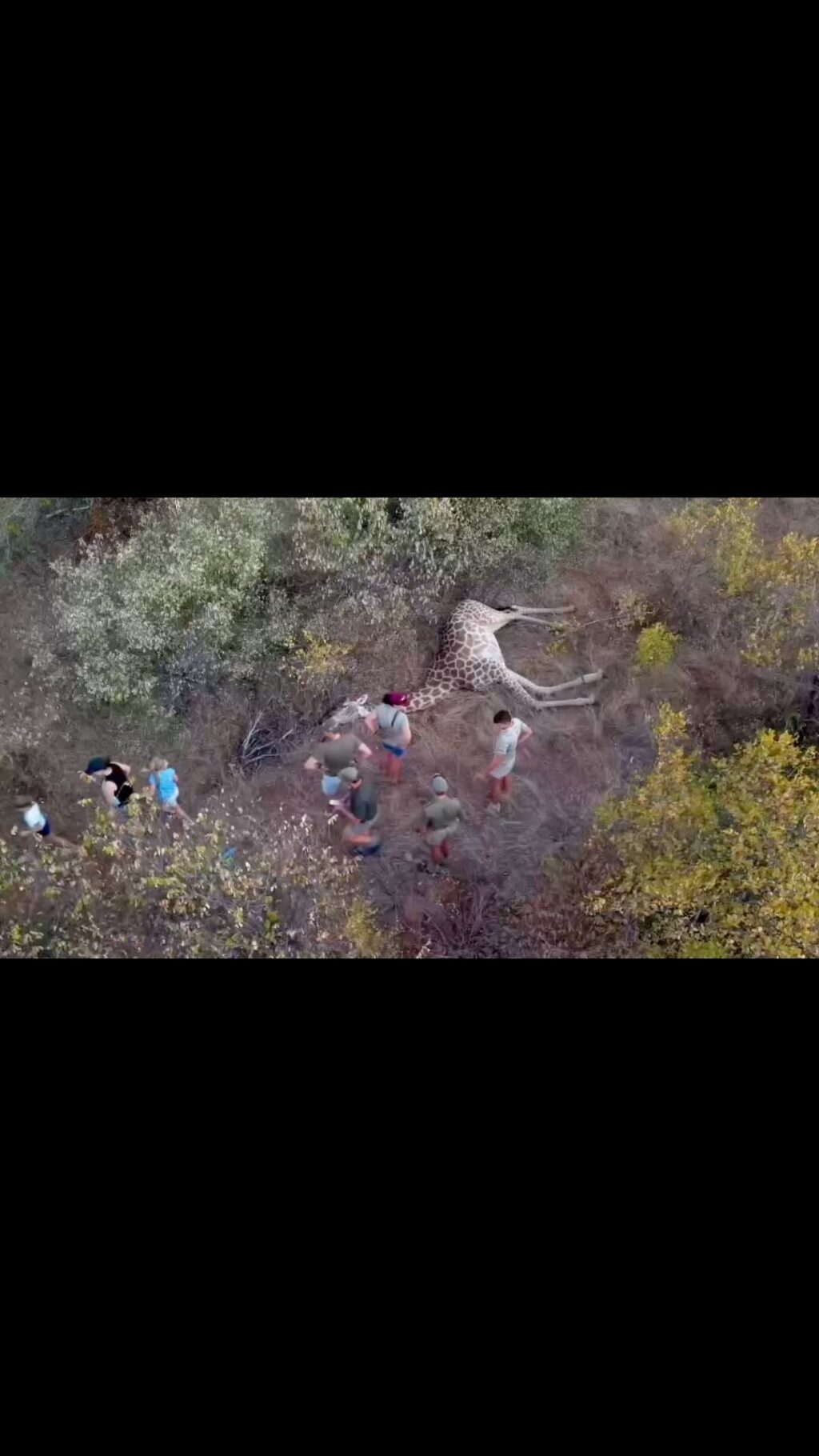 Instagram post from mahlathini_privat_game_reserve. This post is in position 28.