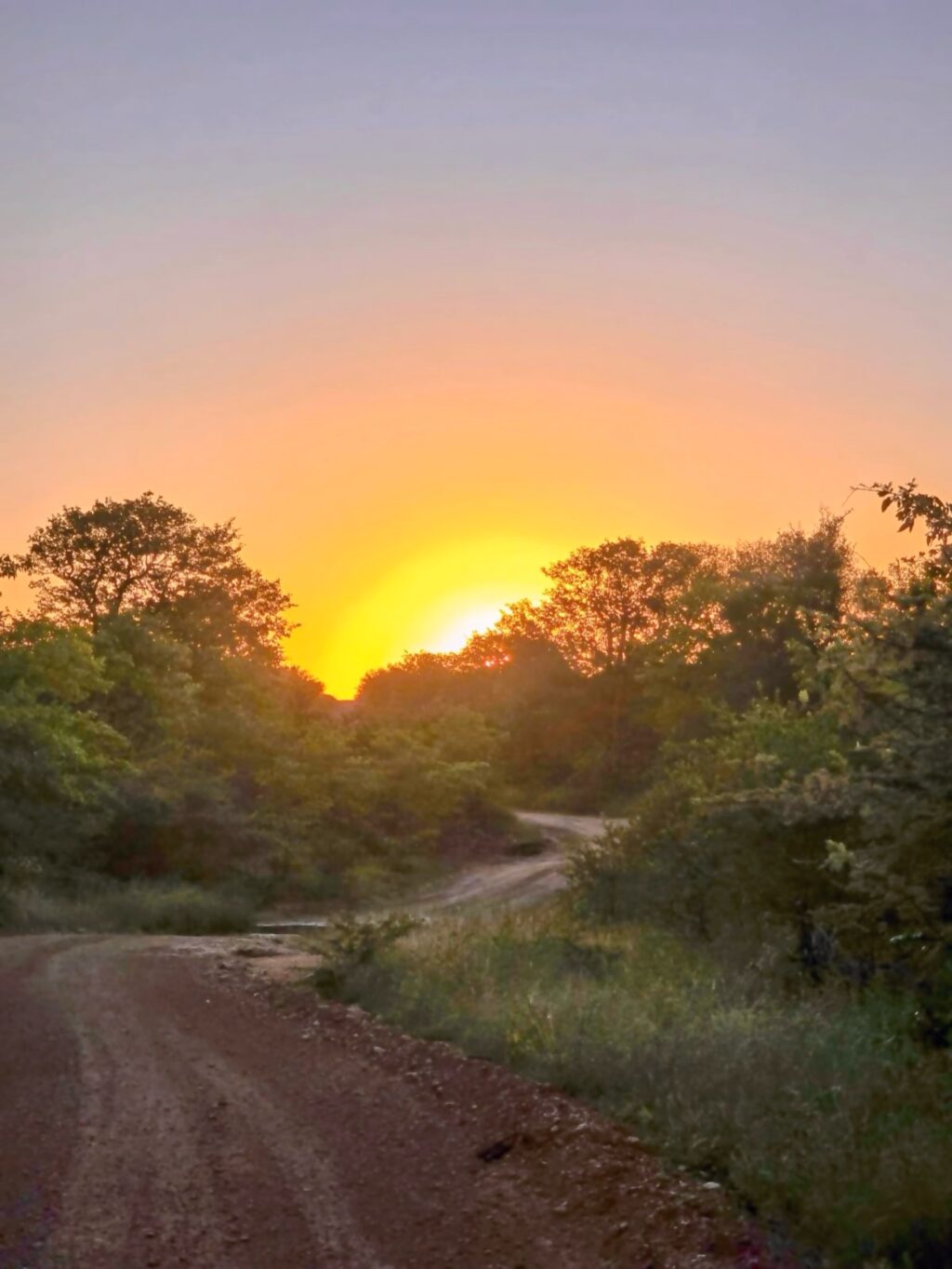 Instagram post from mahlathini_privat_game_reserve. This post is in position 0.