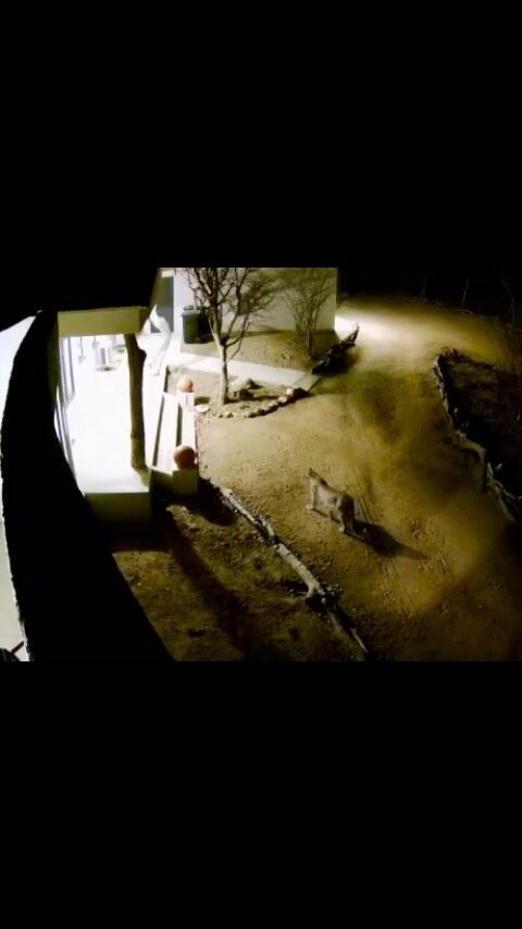 Instagram post from mahlathini_privat_game_reserve. This post is in position 26.