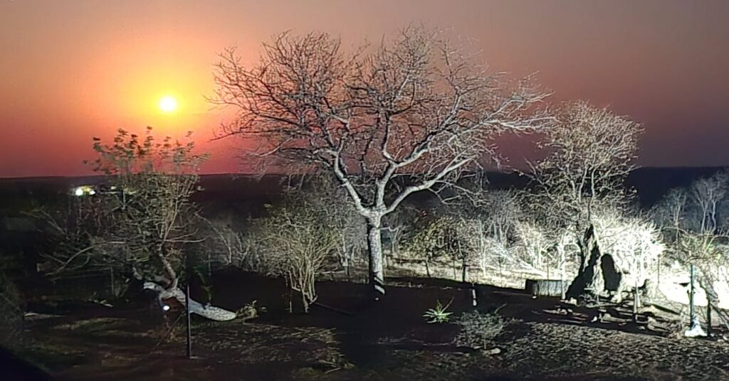 Instagram post from mahlathini_privat_game_reserve. This post is in position 22.